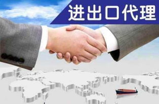 上海各区办理进出口权业务的相关资料以及流程