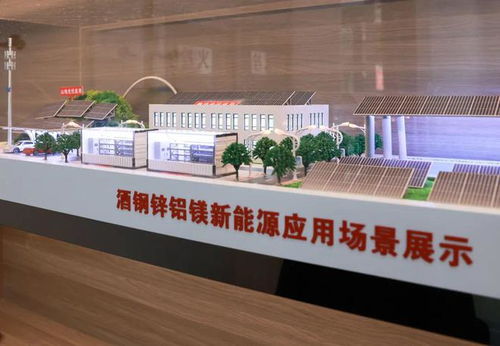 市领导调研市区重点企业